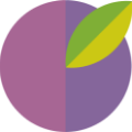 Acai Aju